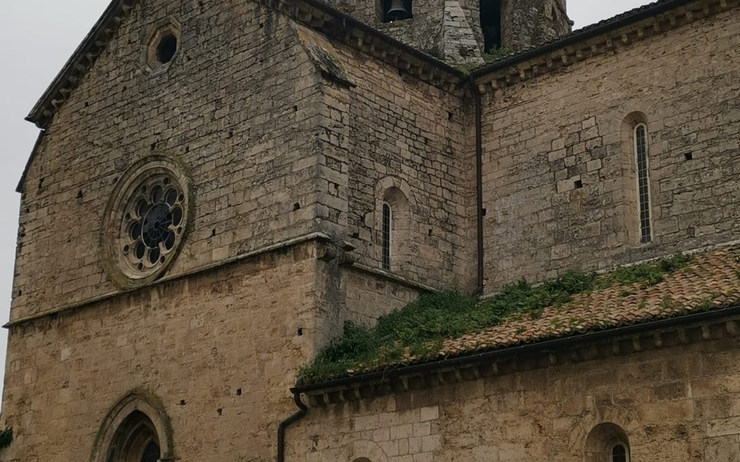 Ferentino, San Bernardo… e Sant’Ambrogio